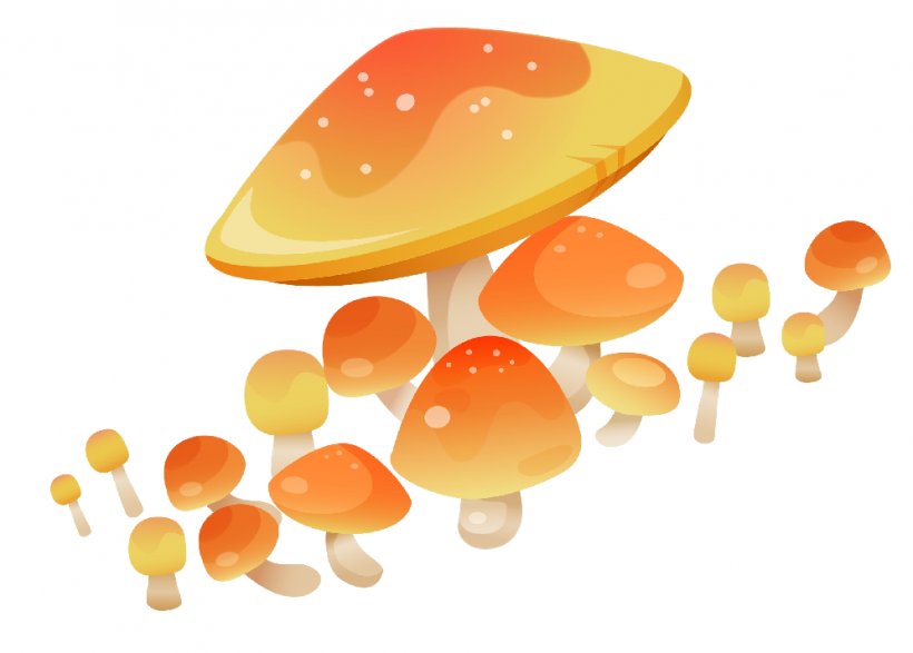 Mushroom Drawing Fungus Agaricus Image, PNG, 996x713px, Mushroom, Agaricus, Animated Cartoon, Animation, Cartoon Download Free