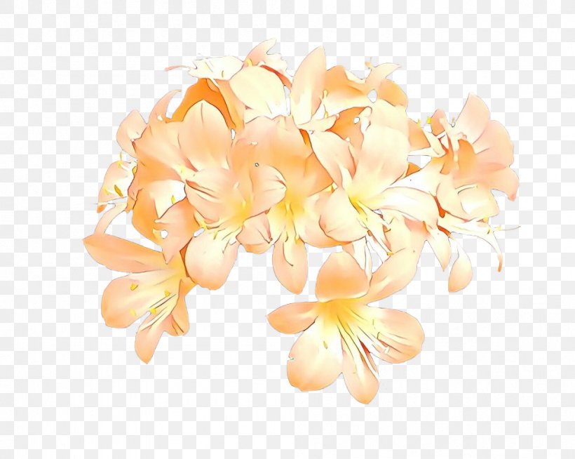 Orange, PNG, 1001x799px, Cartoon, Cut Flowers, Flower, Flowering Plant, Frangipani Download Free