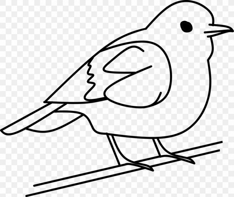 Bird Drawing Clip Art, PNG, 853x720px, Bird, Area, Art, Artwork, Beak Download Free
