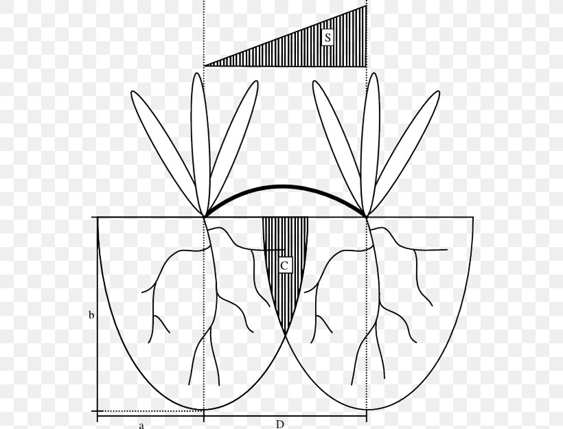 Clonal Colony Plant Resource Competition Biology, PNG, 561x625px, Plant, Area, Art, Artwork, Biology Download Free