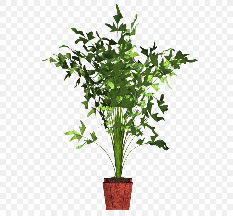 Guiana Chestnut Houseplant Flowerpot Tree, PNG, 600x761px, Guiana Chestnut, Bud, Curry Plant, Drawing, Evergreen Download Free
