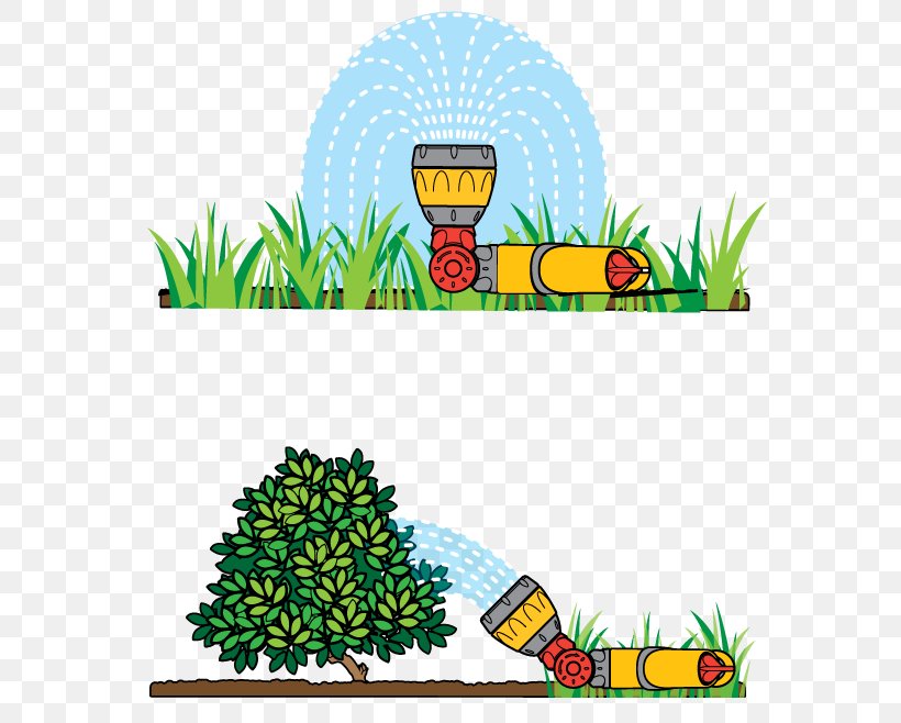 Irrigation Sprinkler Lawn Garden Hose Watering Cans, PNG, 591x658px, Irrigation Sprinkler, Area, Art, Artwork, Flora Download Free
