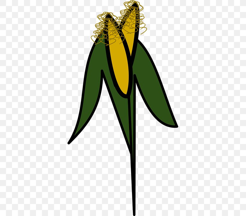 Maize Agriculture Clip Art, PNG, 369x720px, Maize, Agriculture, Artwork, Crop, Flower Download Free