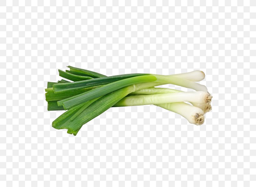 Onion Ghormeh Sabzi Garlic Scallion Leek, PNG, 600x600px, Onion, Allium, Eggplant, Fenugreek, Food Download Free