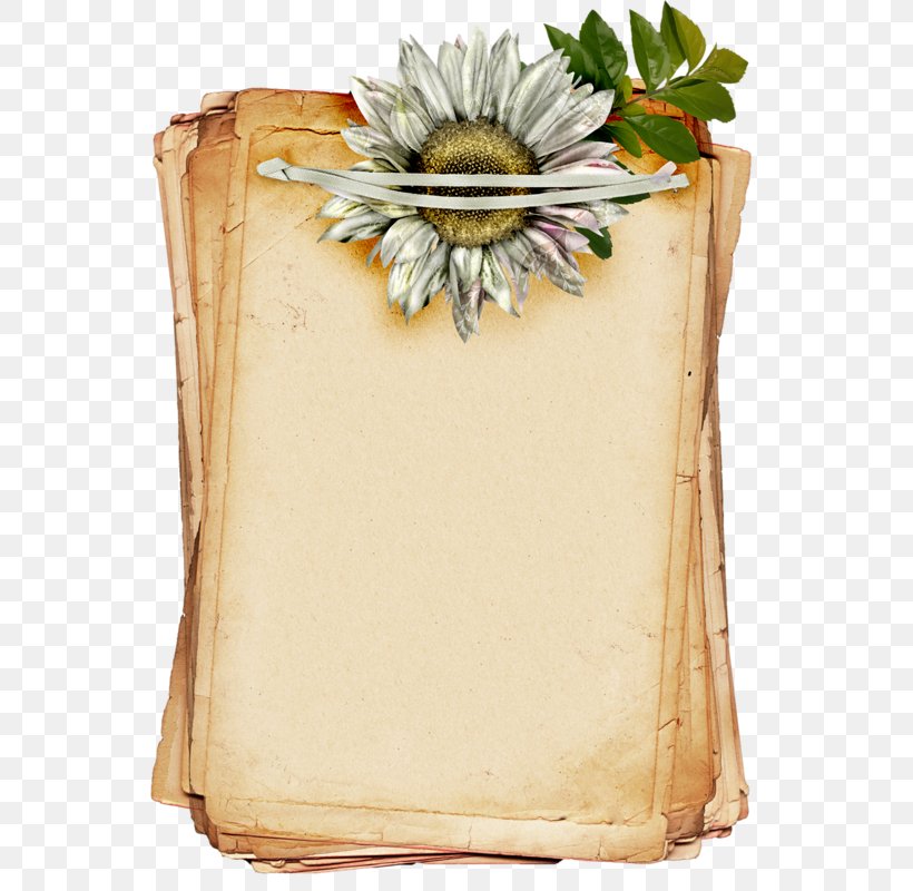 Paper Download, PNG, 589x800px, Paper, Flower, Flowerpot, Parchment, Picture Frame Download Free