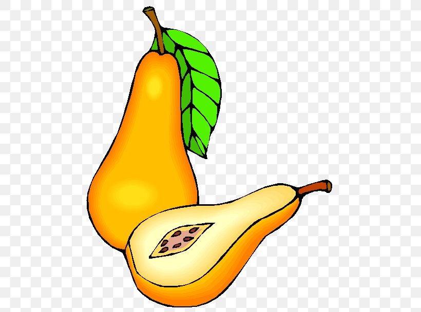 Pear Fruit Marmalade Clip Art, PNG, 490x608px, Pear, Animaatio, Artwork, Confit, Drawing Download Free
