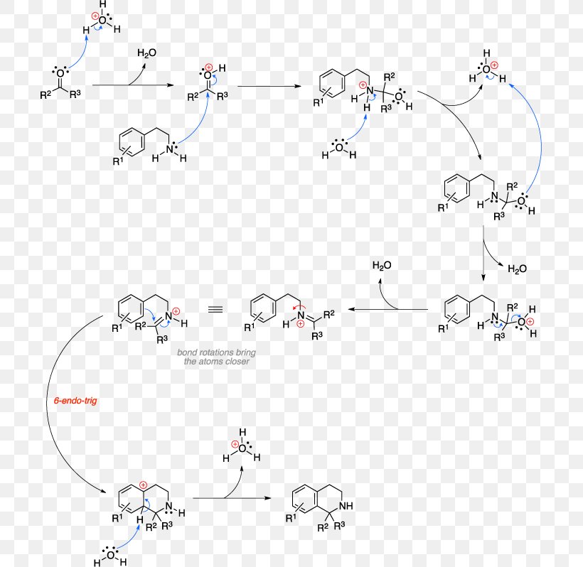 Pictet–Spengler Reaction Isoquinoline Organic Chemistry Chemical Synthesis Organic Synthesis, PNG, 705x798px, Isoquinoline, Aldehyde, Area, Biginelli Reaction, Chemical Reaction Download Free