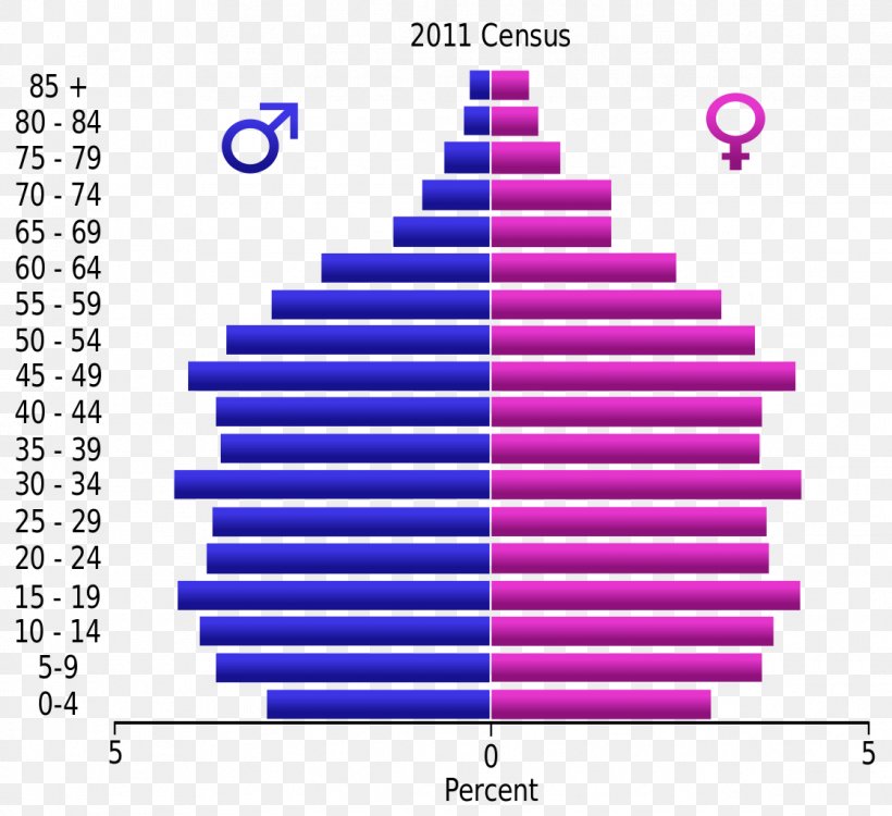 Population Pyramid Demographic Transition Demography Population Growth, PNG, 1119x1024px, Population Pyramid, Area, Birth Rate, Country, Demographic Transition Download Free