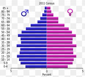 Egypt Tourism - Population Pyramid Demographic Transition Demography Population Growth PNG