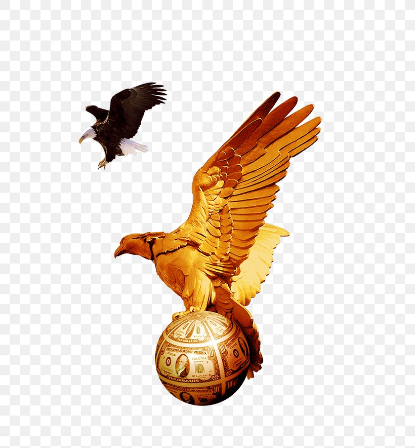 Bald Eagle Golden Eagle Statue Sculpture, PNG, 652x884px, Bald Eagle, Accipitriformes, Beak, Bird, Bird Of Prey Download Free