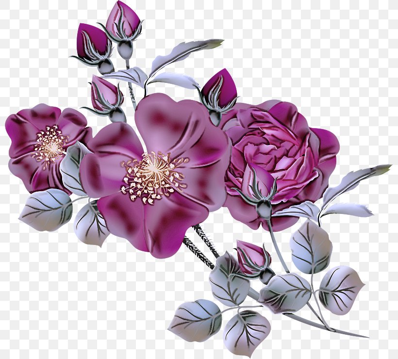 Flower Purple Cut Flowers Petal Violet, PNG, 800x740px, Flower, Bouquet, Cut Flowers, Flowering Plant, Lilac Download Free