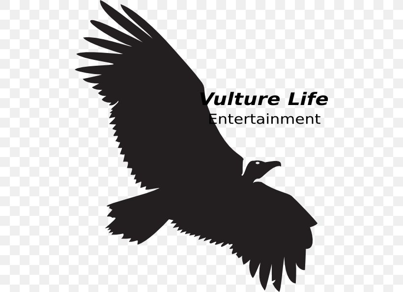 Turkey Vulture Clip Art Beaky Buzzard Vector Graphics, PNG, 516x595px, Turkey Vulture, Accipitriformes, Bald Eagle, Beak, Beaky Buzzard Download Free