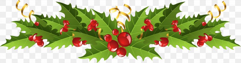 Mistletoe Christmas Decoration Clip Art, PNG, 3689x967px, Mistletoe, Aquifoliaceae, Branch, Christmas, Christmas Decoration Download Free