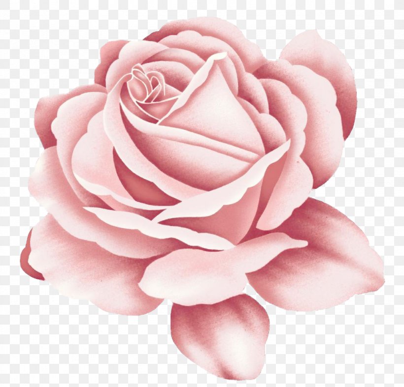Rose Tattoo Pink, PNG, 1024x984px, Rose, Art, Color, Cut Flowers, Drawing Download Free