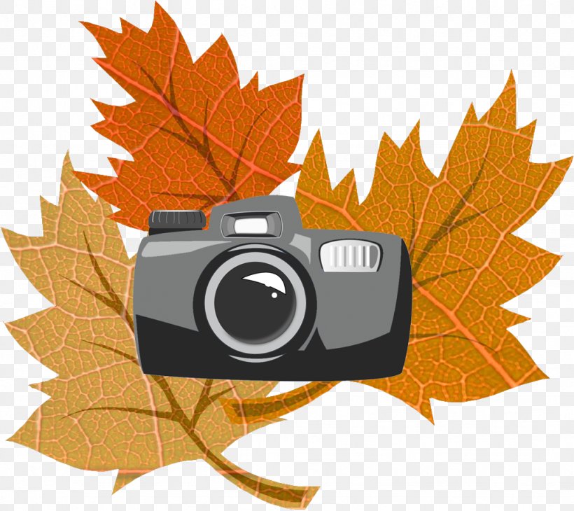 Clip Art Image Openclipart Autumn Leaf Color, PNG, 1024x912px, Autumn, Autumn Leaf Color, Drawing, Leaf, Maple Download Free