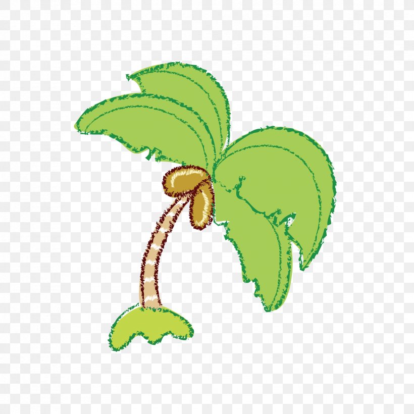 Coconut Image Clip Art Illustration, PNG, 1654x1654px, Coconut, Botany, Cartoon, Drawing, Flower Download Free