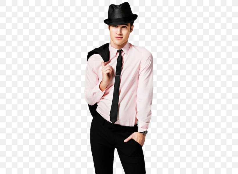 Darren Criss Glee Blaine Anderson Actor The Dalton Academy Warblers, PNG, 449x600px, Watercolor, Cartoon, Flower, Frame, Heart Download Free