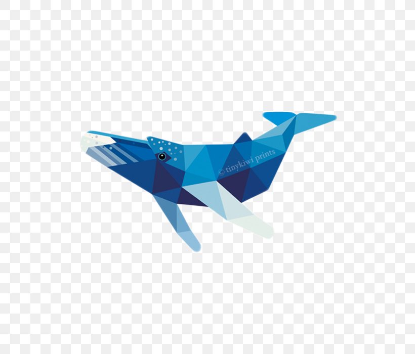 Geometry Baleen Whale, PNG, 700x700px, Geometry, Air Travel, Aircraft, Airline, Airplane Download Free