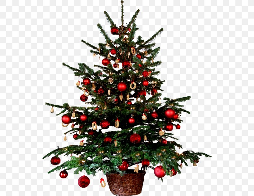 Christmas Decoration Christmas Tree Animation, PNG, 550x635px, Christmas Decoration, Animation, Christmas, Christmas Card, Christmas Lights Download Free