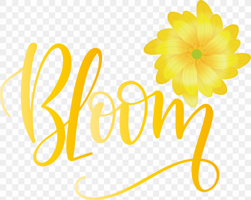 Bloom Spring, PNG, 3000x2383px, Bloom, Cut Flowers, Floral Design, Flower, Free Download Free