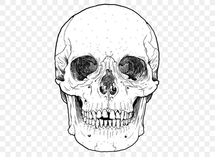 Calavera Bumper Sticker Decal Skull, PNG, 442x600px, Calavera, Art, Artwork, Bicast Leather, Black And White Download Free
