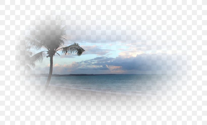 Desktop Wallpaper Beach Sea, PNG, 697x497px, 2014, 2016, 2017, Beach, Calm Download Free