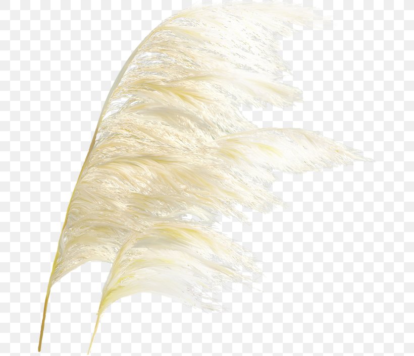 Icon, PNG, 670x706px, Feather, Material, Plant, Silk, Textile Download Free
