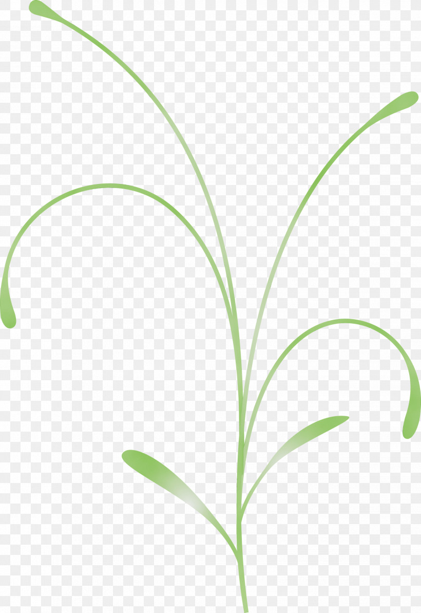 Leaf Grass Plant Flower Grass Family, PNG, 2062x3000px, Easter Flower, Flower, Grass, Grass Family, Leaf Download Free