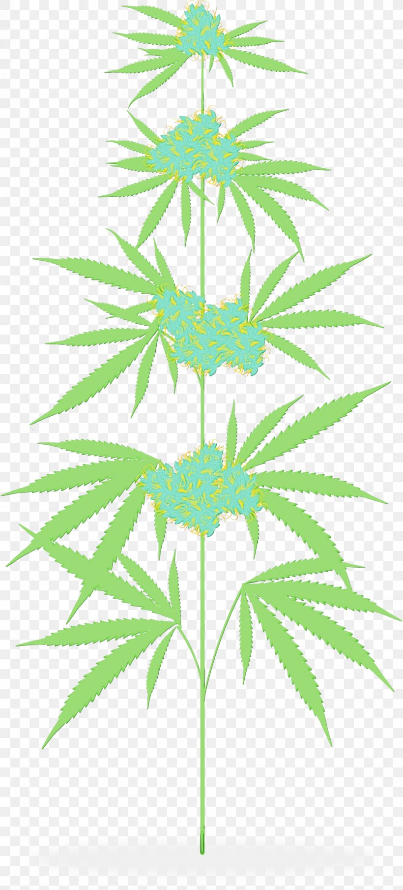 Palm Tree Leaf, PNG, 937x2068px, Cannabis, Arecales, Branch, Flower, Green Download Free