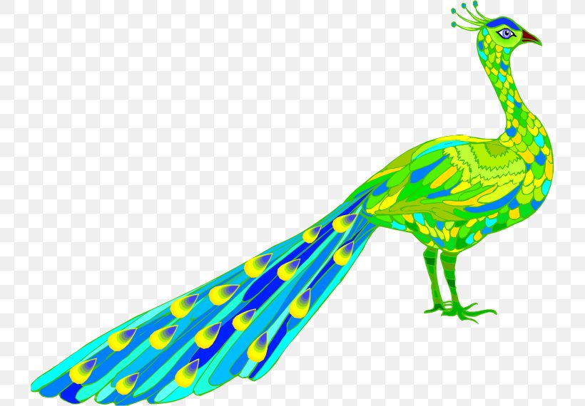 Peafowl Desktop Wallpaper Clip Art, PNG, 733x570px, Peafowl, Animal, Animal Figure, Beak, Bird Download Free