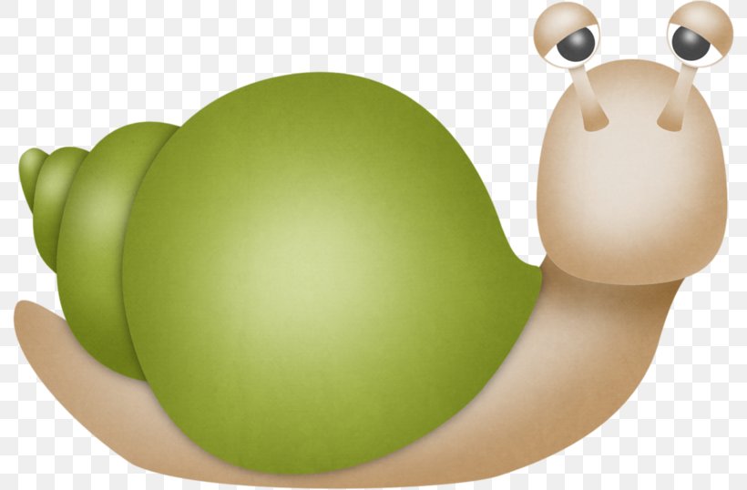 Cartoon Orthogastropoda Drawing, PNG, 792x538px, Cartoon, Caracol, Drawing, Egg, Grass Download Free