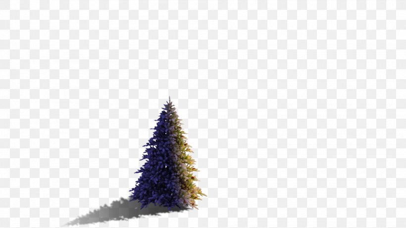 Christmas Ornament Christmas Tree Spruce Meter, PNG, 1920x1080px, Christmas Ornament, Christmas, Christmas Decoration, Christmas Tree, Conifer Download Free