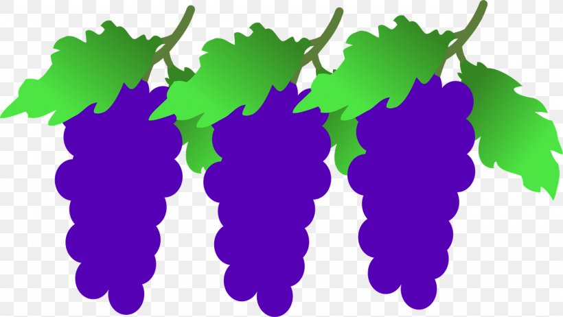 Grapevines Wine Clip Art, PNG, 1280x722px, Grape, Food, Fruit, Grapevine Family, Grapevines Download Free