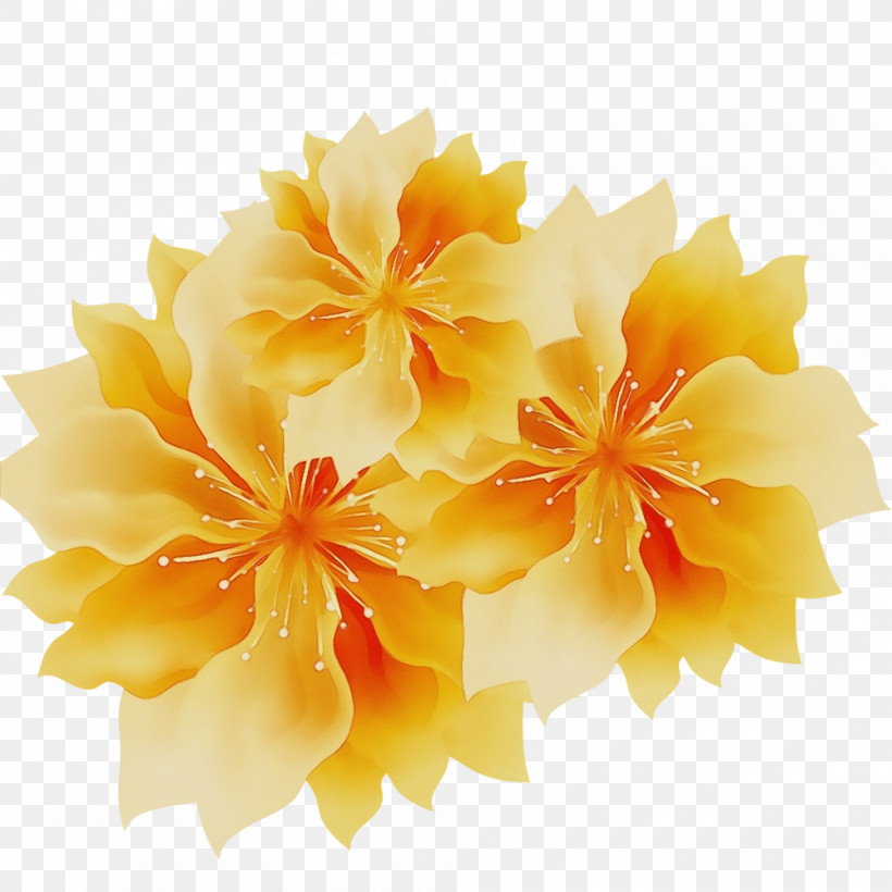 Hibiscus Mallows Floristry Cut Flowers Petal, PNG, 1000x1000px, Watercolor, Cut Flowers, Floristry, Flower, Hibiscus Download Free
