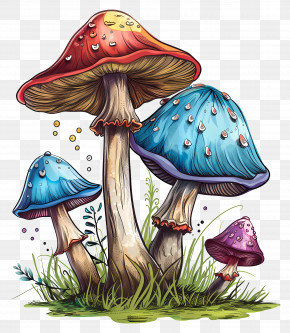 Magic Mushroom - Colorful Mushrooms In A Fantasy Style PNG