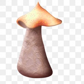 Cartoon Mushrooms - Mushroom Fungus Animation PNG