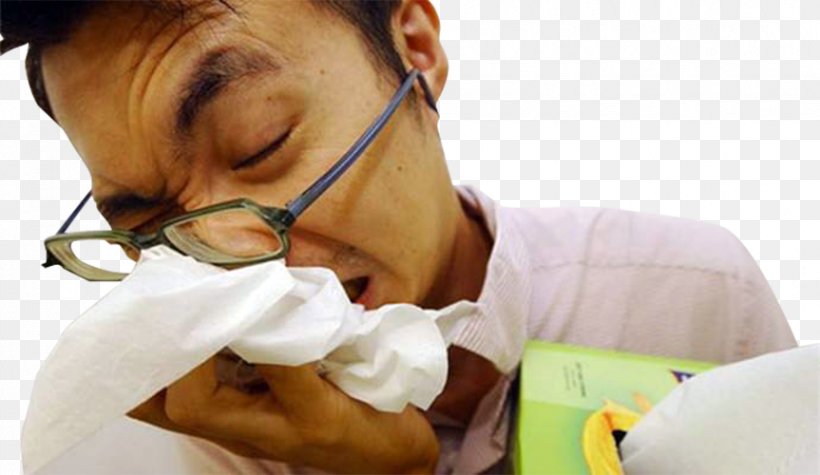 Nose Rhinitis Caccola Sinusitis Common Cold, PNG, 863x500px, Nose, Allergy, Caccola, Chin, Chronic Condition Download Free