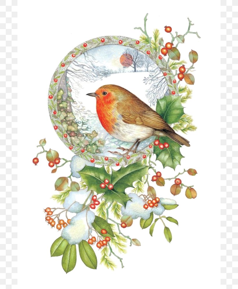 European Robin Bird Christmas Card American Robin, PNG, 700x995px, European Robin, American Robin, Animal, Beak, Bird Download Free