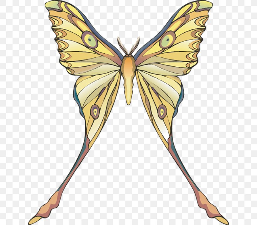 Monarch Butterfly Moth Karner Blue Karner, New York, PNG, 640x718px, Monarch Butterfly, Animal, Art, Arthropod, Bombycidae Download Free