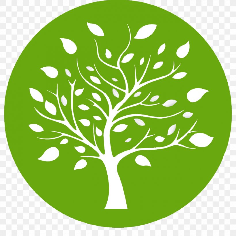 Value Tree Av S.A Investment Fund Price Finance, PNG, 1300x1300px, Investment, Area, Branch, Errenta Aldakor, Finance Download Free