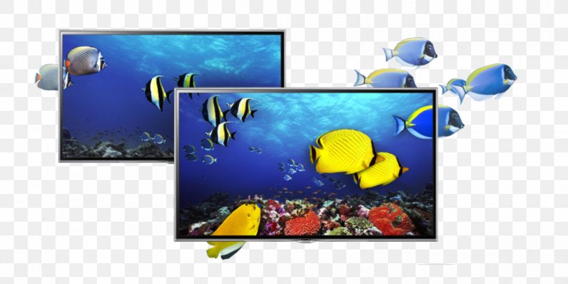 Blu-ray Disc LED-backlit LCD 1080p Samsung Smart TV, PNG, 1250x625px, Bluray Disc, Aquarium, Display Device, Display Size, Dolby Digital Plus Download Free