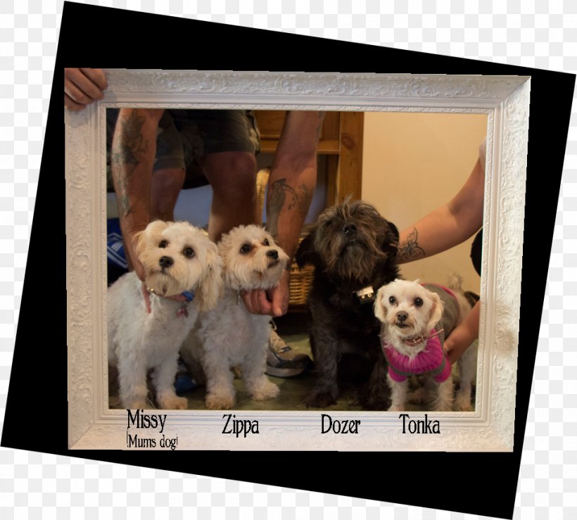 Dog Breed Puppy Love Picture Frames, PNG, 959x865px, Dog Breed, Breed, Carnivoran, Crossbreed, Dog Download Free