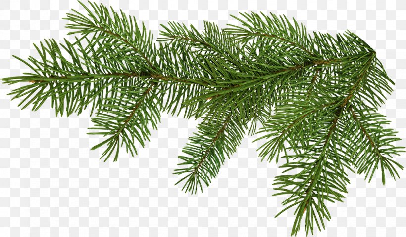 Animation Christmas Ornament Clip Art, PNG, 1022x599px, Animation, Branch, Christmas, Christmas Ornament, Conifer Download Free