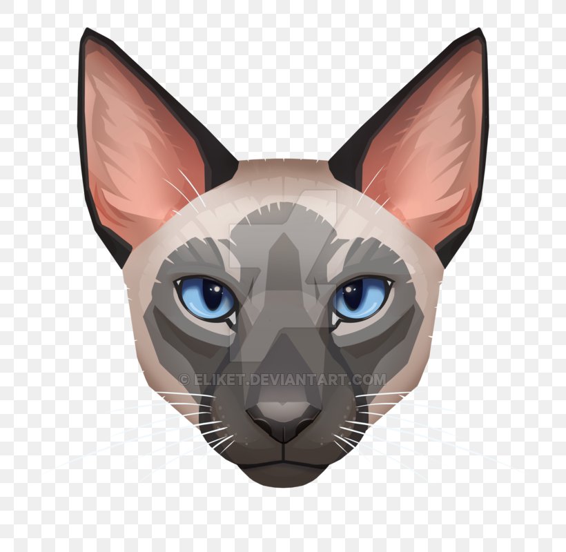 Cat T-shirt Whiskers Digital Art Leopard, PNG, 800x800px, Cat, Animal, Art, Artist, Carnivoran Download Free