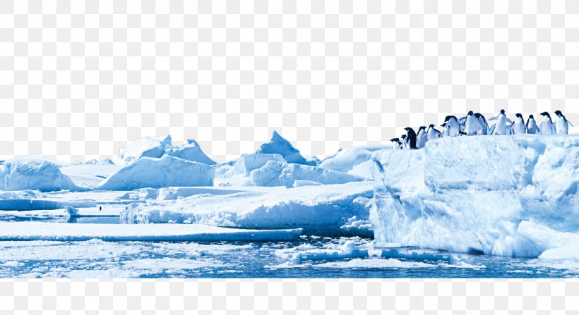 Penguin Antarctica Glacier Iceberg, PNG, 1100x600px, Penguin, Antarctica, Arctic, Arctic Ocean, Blue Iceberg Download Free
