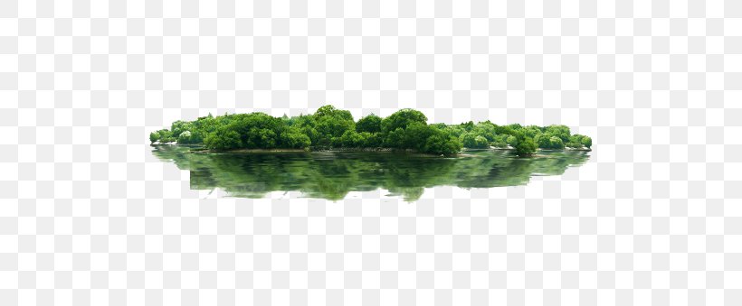 Thousand Island Lake Green, PNG, 760x339px, Thousand Island Lake, Architecture, Flowerpot, Forest, Grass Download Free