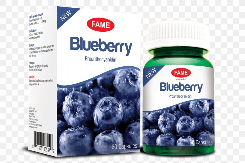 Dietary Supplement Pharmaceutical Drug Medicine Pharmacy Health Care, PNG, 1800x1200px, Dietary Supplement, Alternative Health Services, Berry, Bilberry, Blueberry Download Free