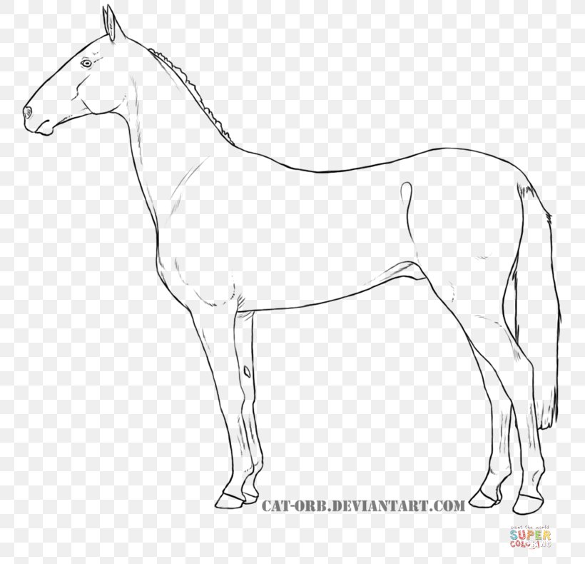 Mule Dutch Warmblood Oldenburg Horse Danish Warmblood Mustang, PNG, 768x790px, Mule, Animal Figure, Artwork, Black And White, Bridle Download Free