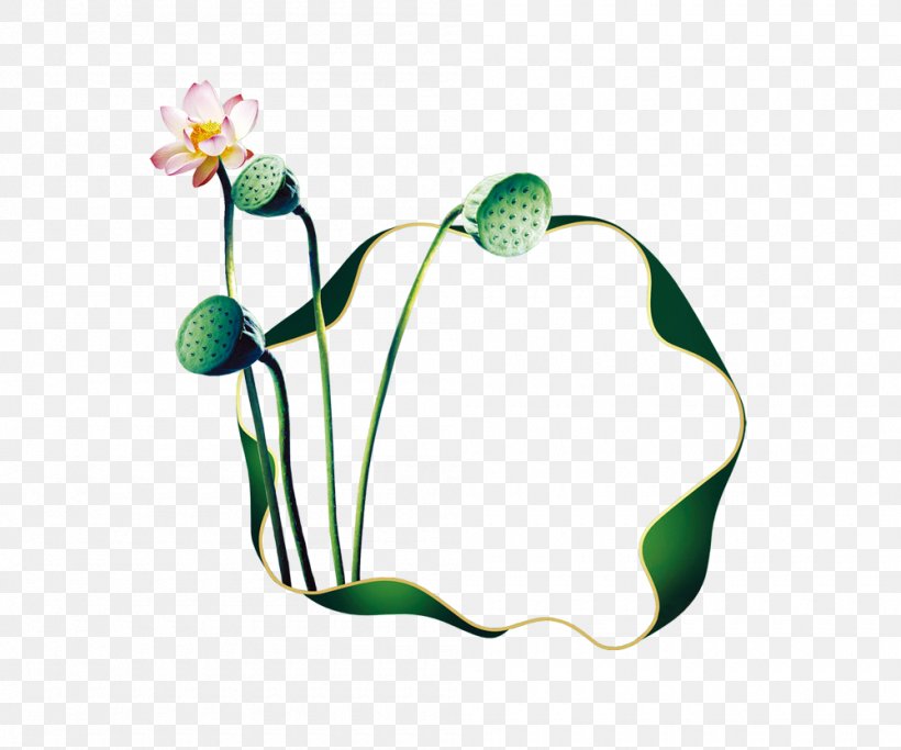 Nelumbo Nucifera Download Lotus Effect, PNG, 1000x834px, Nelumbo Nucifera, Flower, Grass, Green, Leaf Download Free