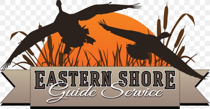 Duck Waterfowl Hunting Goose Logo, PNG, 2000x1040px, Duck, Brand, Decal, Deer Hunting, Diving Duck Download Free